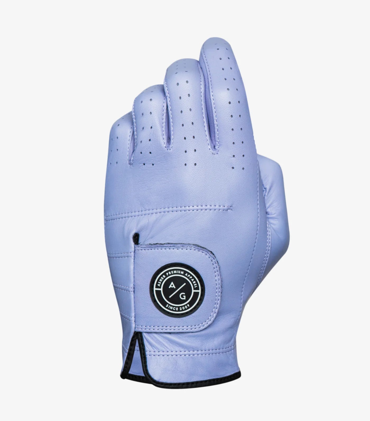 Asher - Premium Leather Men's Glove