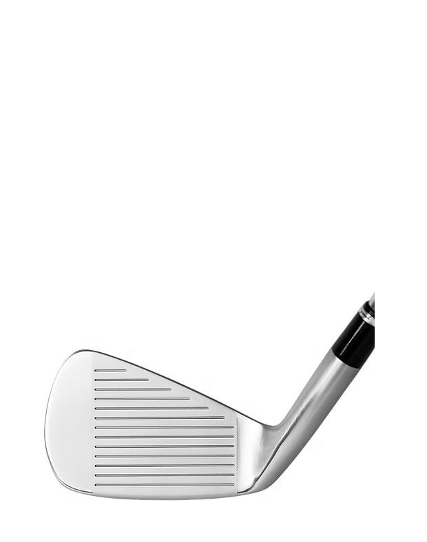 Fujimoto - FT-2 MB-X Semi Hollow Muscle Back Irons