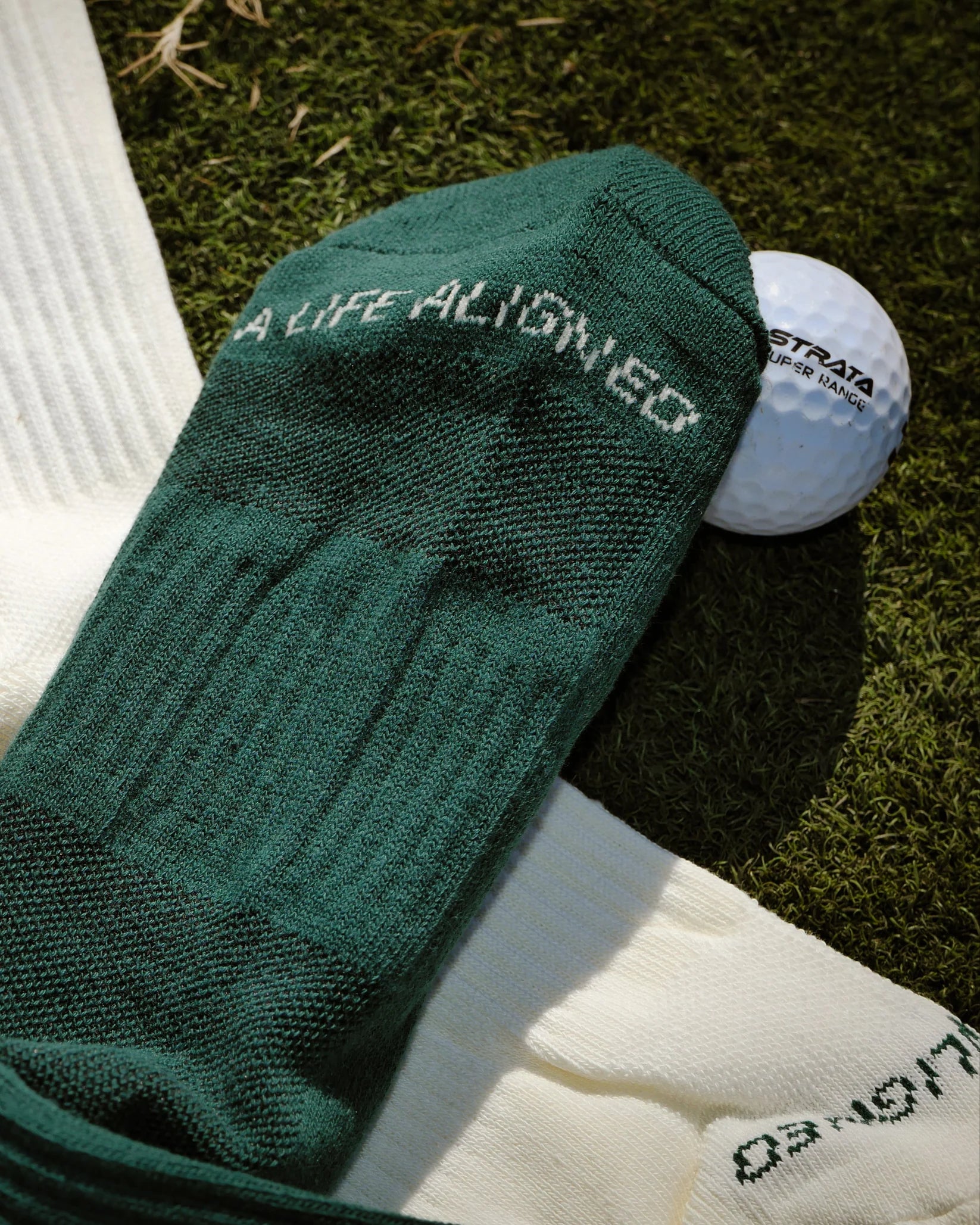 Gamut - Everyday Sock