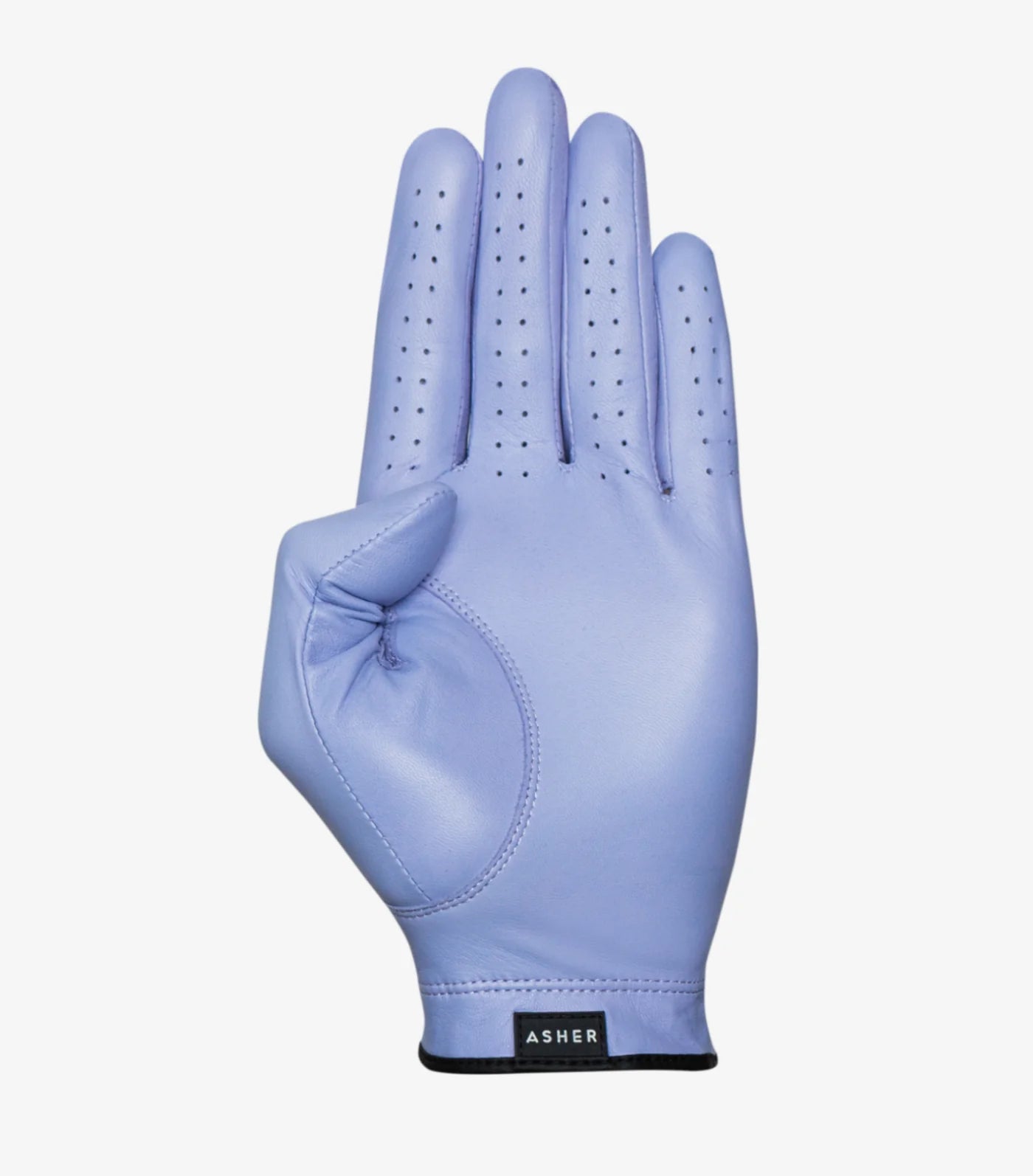 Asher - Premium Leather Men's Glove