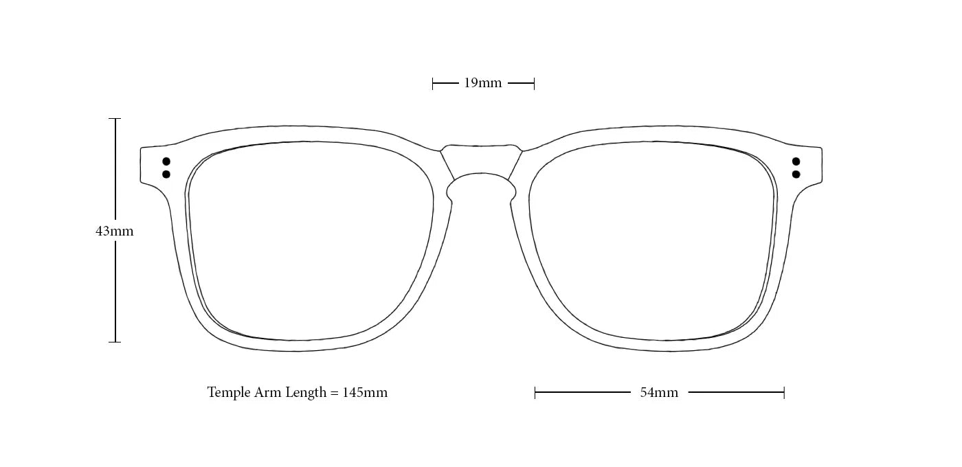 RAEN - WILEY (Cambria/Green Polarized)