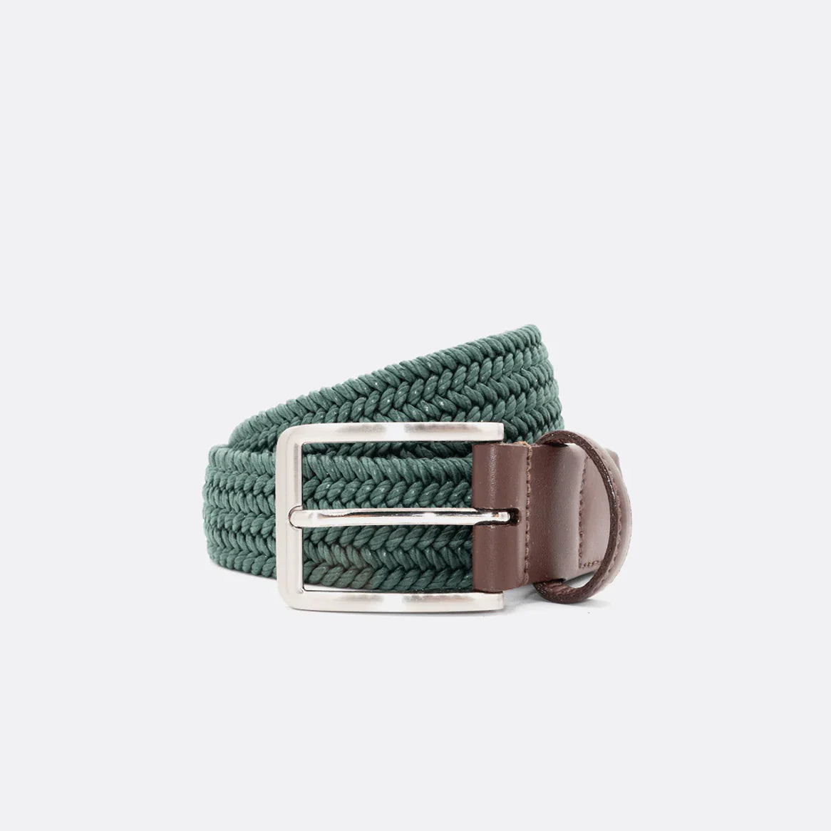 Beltology - Terra Belt - Forrest Green